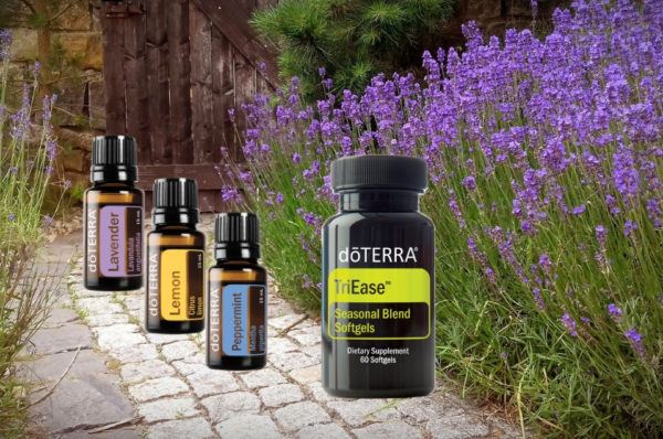 Ölverliebt BLOG - doTERRA Deutschland – Ätherische Öle